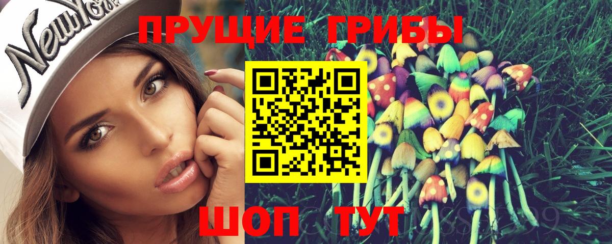 Сургут  Псилоцибиновые грибы Cubensis  Вход с VPN 